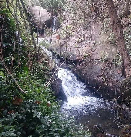 Vale Cupulas 度假居