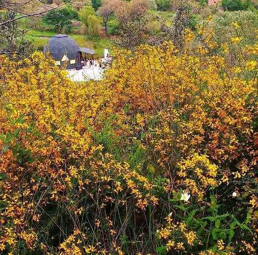Vale Das Cupulas * Figueiro Dos Vinhos