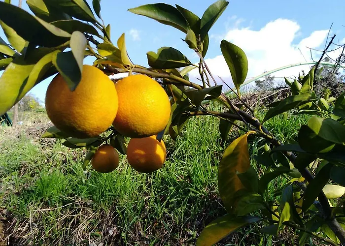 Vale Cupulas * Figueiro Dos Vinhos