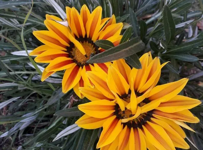 Vale Das Cupulas Figueiro Dos Vinhos